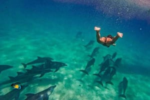 Nungwi: Svøm og snorkle med skildpadder på The Lagoons Zanzibar