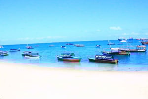 Mnemba från norr och öst halvdagsutflykt