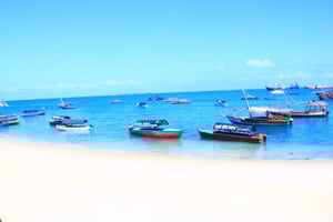 Mnemba from North & East half day