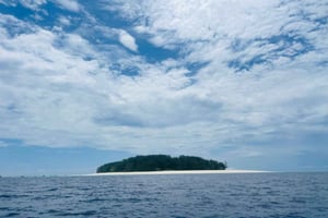 Тур на остров Мнемба с дельфинами, пляж Кендва и водная прогулка на закате