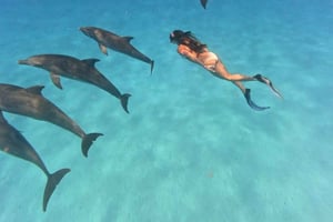 Mnemba Island: Half-Day Dolphin Swim & Snorkel Boat Trip
