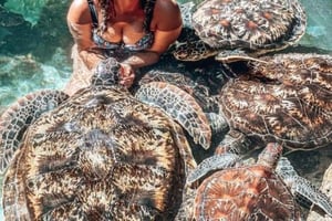 ムネンバ島、ヌングイ水族館、ケンドワの夕日（終日）