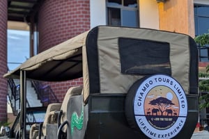 モロゴロ：ニエレレ国立公園での3日間サファリ＆ボートツアーをご案内いたします