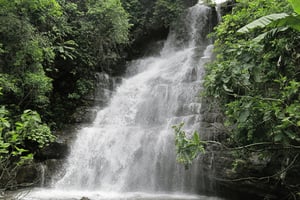 Morogoro: Uluguru Mountains Waterfalls Guided Hike