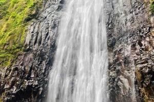 Moshi/Arusha:Day trip Materuni waterfalls,Coffee tour& lunch