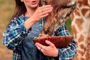 Moshi/Arusha: dagstur med serval-dyreliv og Masai-landsbyomvisning