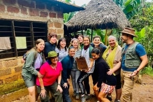 Moshi/Arusha: Materuni-fossen, kaffetur og varme kilder