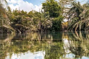 Moshi: Chemka Hot Springs Day Trip with Food and Water