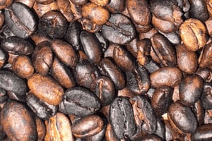 Moshi : Cascades de Materuni et visite de la plantation de café avec déjeuner