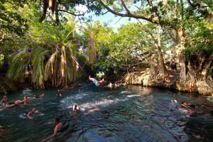 Moshi: Materuni-vandfaldet, kaffetur, Kikuletwa-varmekilden