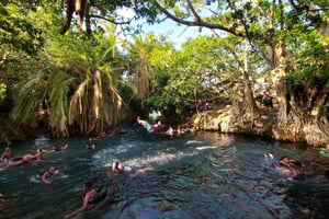 Moshi: Materuni Waterfall, Coffee Tour, Kikuletwa Hot Spring