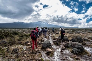 Moshi:Mount Kilimanjaro päiväretki Mandara Hut Trek kanssa