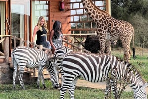 Moshi: Passeio pela vida selvagem de Serval com alimentos e bebidas