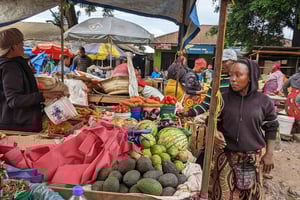 モシタウン：ウォーキングツアー：テーマ：都会のライフスタイル