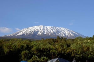Dagsutflykt till Kilimanjaro nationalpark