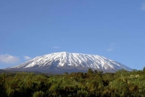 Viagem de um dia ao Parque Nacional do Monte Kilimanjaro