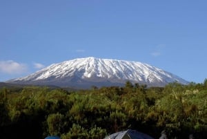 Mount Kilimanjaro National Park Day Trip