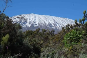 Mount Kilimanjaro en dags vandring till baslägret för liten grupp
