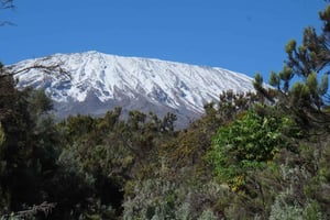 Mount Kilimanjaro endagsvandring til basecamp for lille gruppe