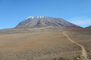 Kilimandżaro: wspinaczka na Umbwe Roure