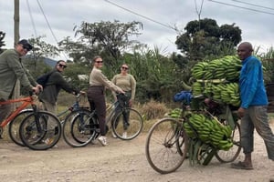 Mto wa Mbu: Tour durch das Dorf mit Besuch des lokalen Marktes
