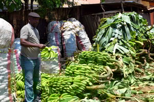 Аруша: деревня Мто-ва-Мбу, водопад и масайская бома