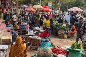 Mwanza: visita ao mercado e aula de culinária com refeição