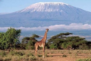 Nairobi: Dagstur til Amboseli Nationalpark og en masai landsby