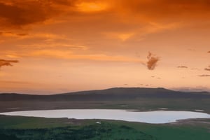 Ngorongoro-krateret: Dagstur med dyresafari