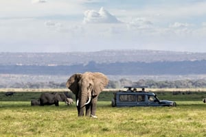 Excursión de un día al cráter del Ngorongoro Safari en grupo.