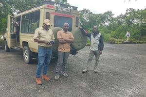 Dagstur til Ngorongoro-krateret med safari