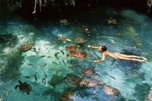 Prison Island + Nakupenda Sandbank & Stonetown vandringstur