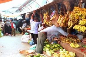 Zanzibar: Salam Cave Tour
