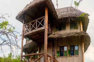 ZANZIBAR: Tur til krydderifarm, Jozani-skoven og Rock Restaurant