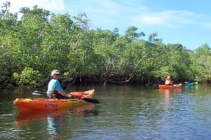 Zanzibar: Jozani-metsä ja Salaam-luola -retki