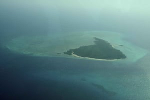 ペンバ島：ミサリ島シュノーケリングツアー（昼食付き）