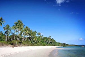 ZANZIBAR: Stone Town Sunset Dhow Cruise & Traditionele Muziek