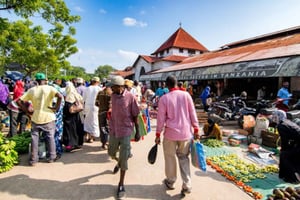 Prison Island, Stone Town And Spice Farm Tour With Lunch
