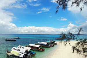 Privat tur til Prison Island og Nakupenda-sandbanken med lunsj