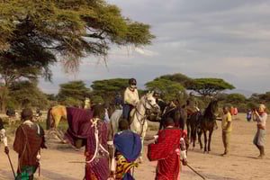 Village Maasai et source d'eau chaude de Kikuletwa depuis Arusha