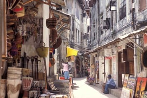 SPLASH PARADISE: ZANZIBARIN ULTIMAATTINEN HYPPYPAIKKA