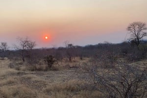 Safari en grupo Ruaha 3 días/2 noches