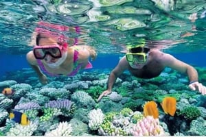 Safari Blue Adventure – purjehdusta, snorklausta ja mereneläviä