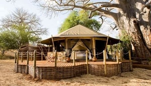 Sanctuary Swala