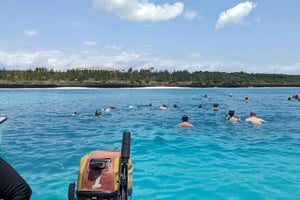 Havseventyr: Kajak, snorkling i Den Blå Lagune og søstjerner
