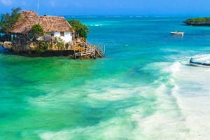 Sea turtle Sanctuary, Butterfly Center & the Rock Restaurant