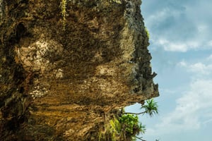 Zanzíbar : Playa Secreta, Cueva de Kuza y Jozani con traslado