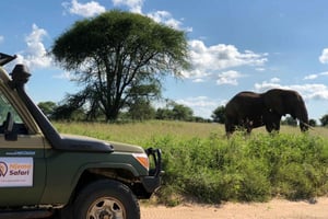 Von Sansibar: Nyerere National Park Pirschfahrt mit Mittagessen
