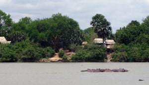 Selous Wilderness Camp