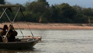 Selous Wildlife Lodge